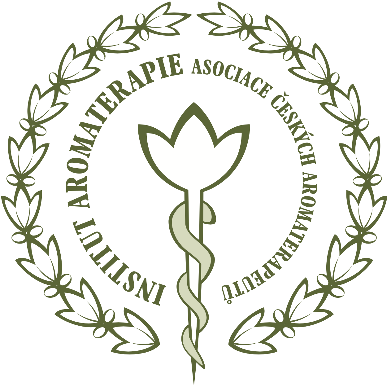 Institut aromaterapie